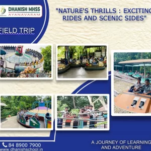 Nature's Thrills: Exciting Rides and Scenic Sides