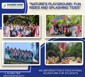 Nature's Playground: Fun Rides and Splashing Tides